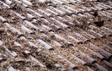 Pode Hole roof cleaning companies