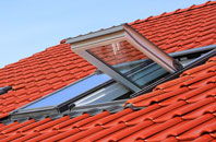 Pode Hole roof window