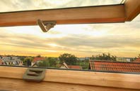 rated Pode Hole roof window companies